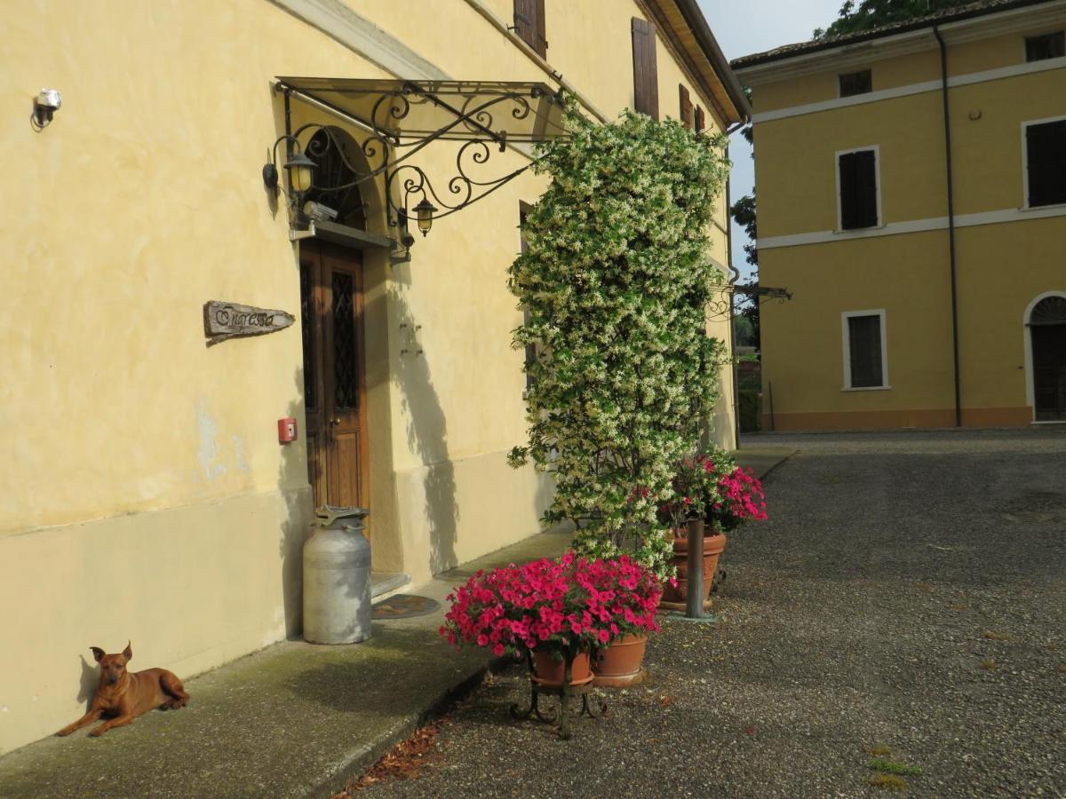 Agriturismo Rivieraoglio Piadena Kültér fotó