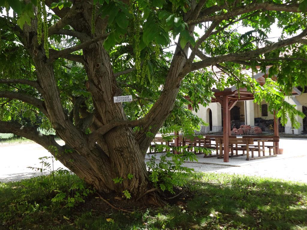 Agriturismo Rivieraoglio Piadena Kültér fotó