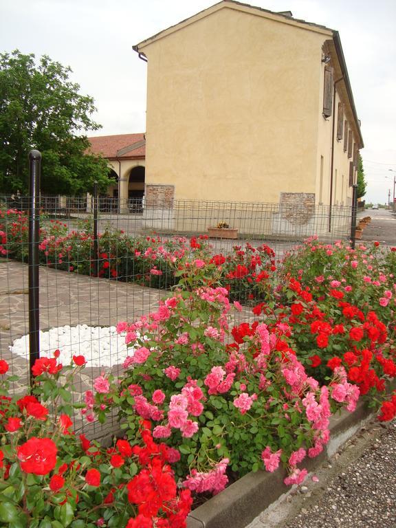 Agriturismo Rivieraoglio Piadena Kültér fotó