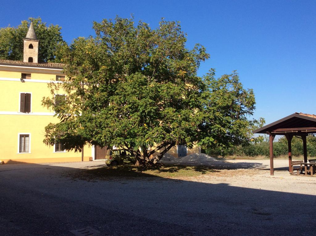 Agriturismo Rivieraoglio Piadena Kültér fotó